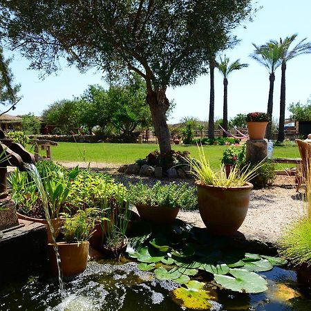 Agroturismo Finca Sant Blai Campos  Extérieur photo