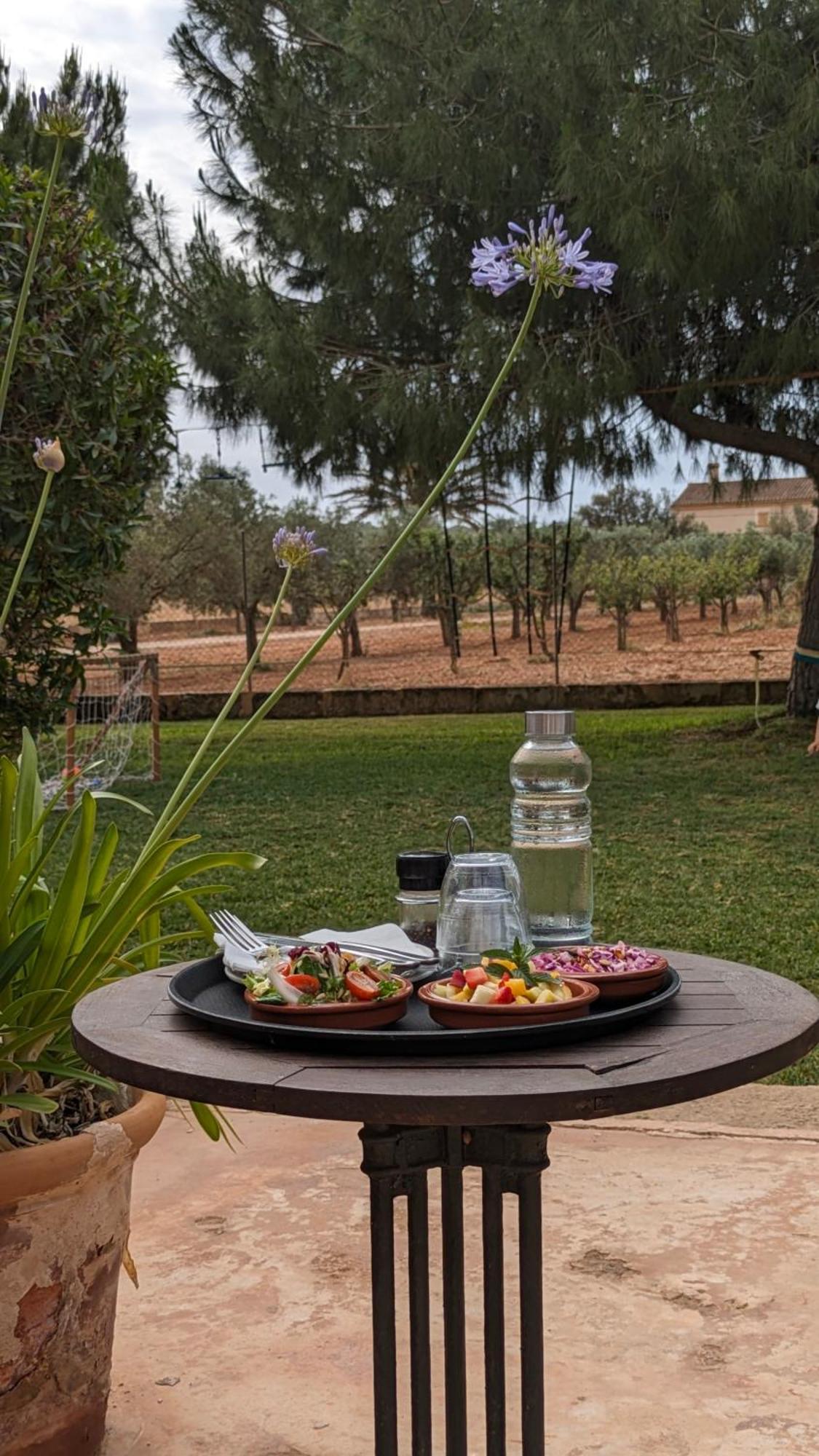 Agroturismo Finca Sant Blai Campos  Extérieur photo