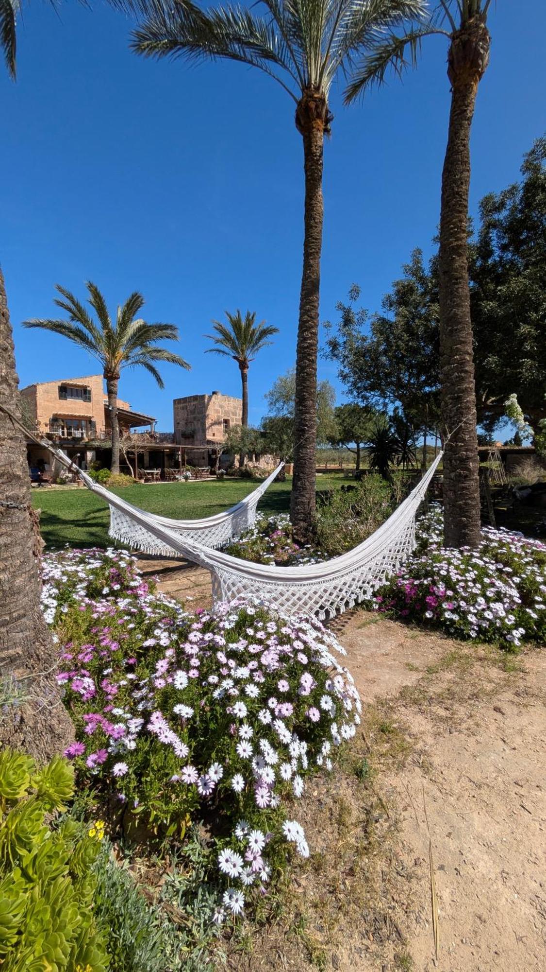 Agroturismo Finca Sant Blai Campos  Extérieur photo