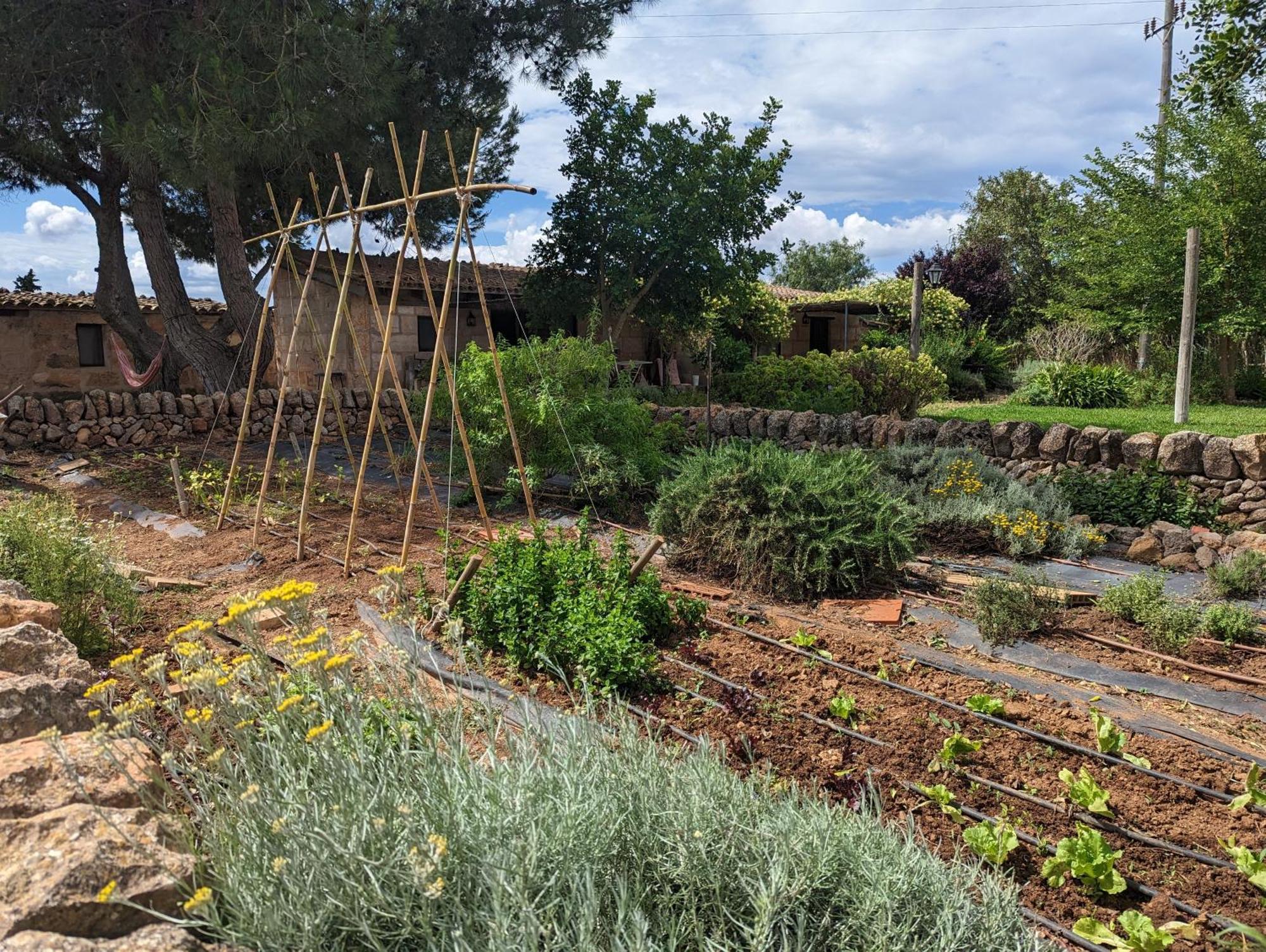 Agroturismo Finca Sant Blai Campos  Extérieur photo