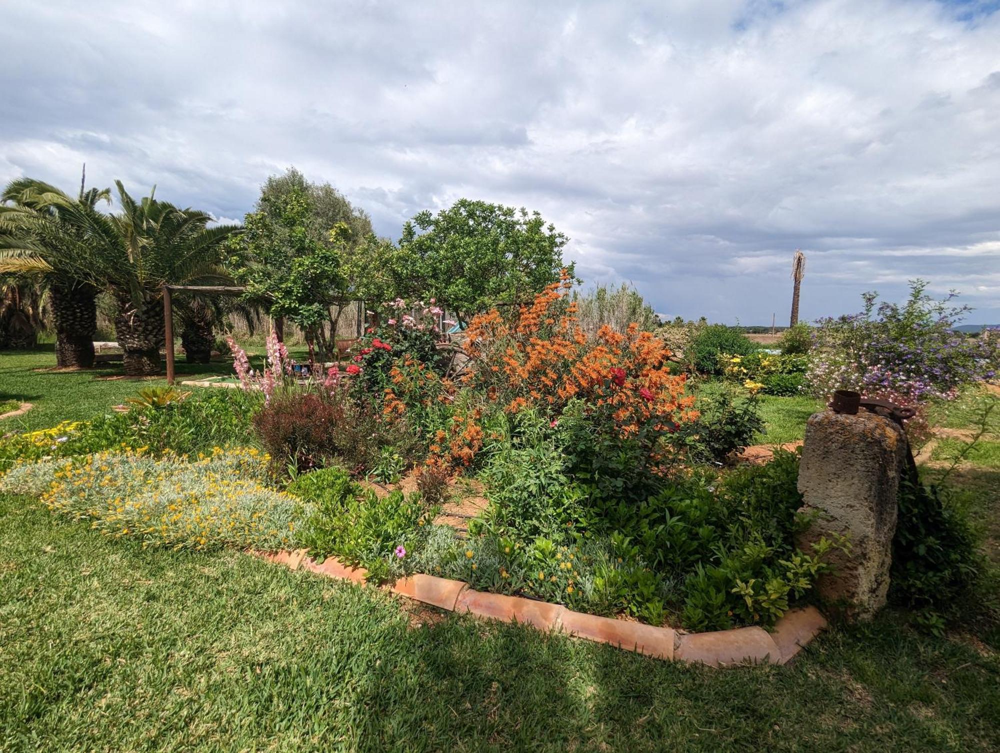 Agroturismo Finca Sant Blai Campos  Extérieur photo