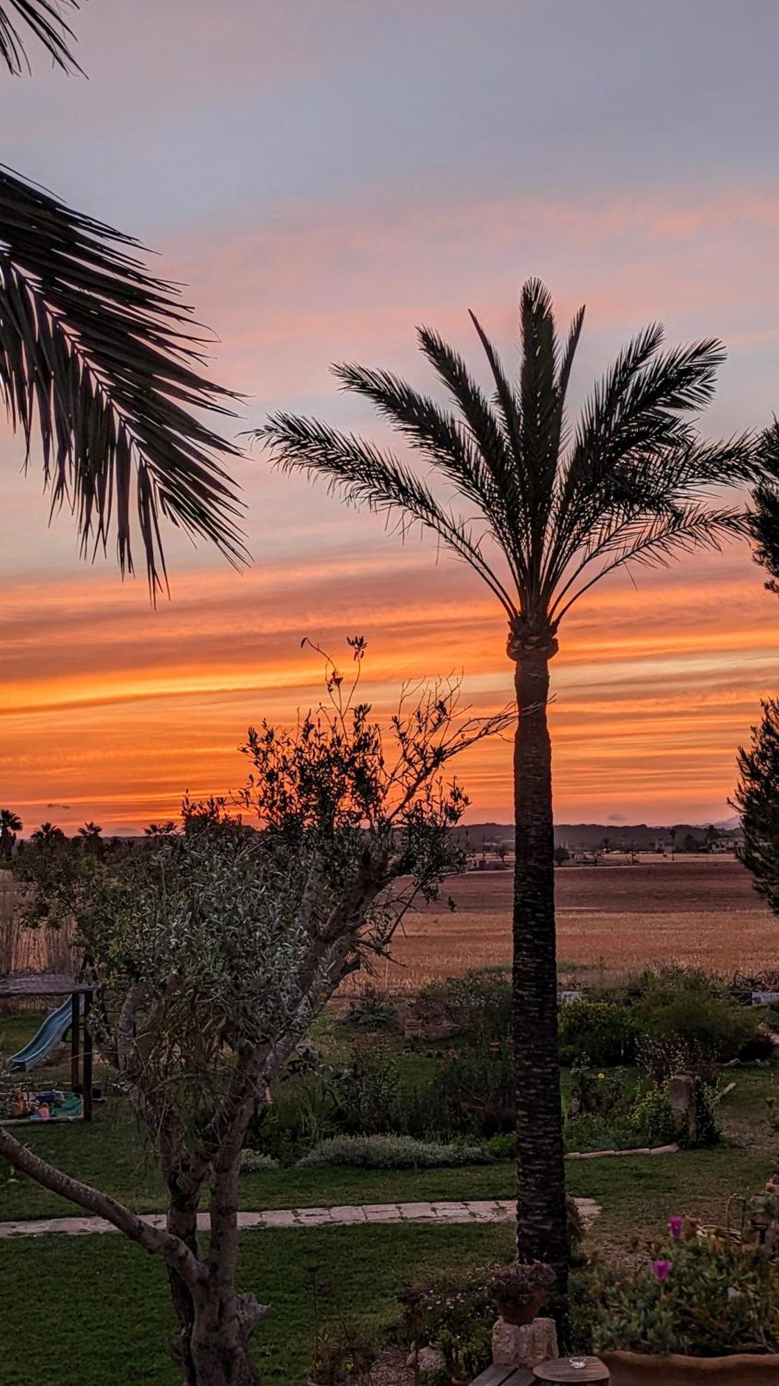 Agroturismo Finca Sant Blai Campos  Extérieur photo