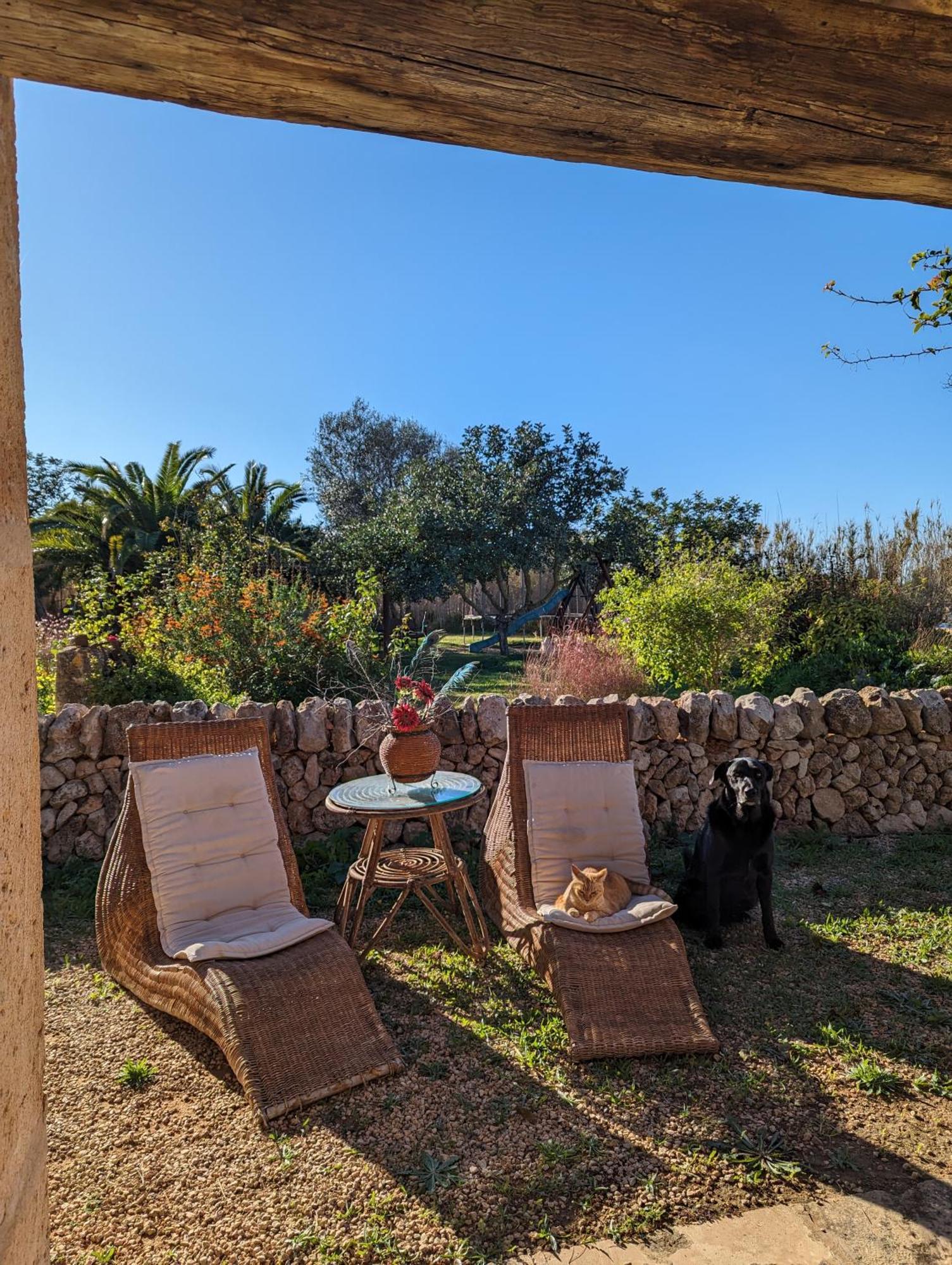 Agroturismo Finca Sant Blai Campos  Extérieur photo